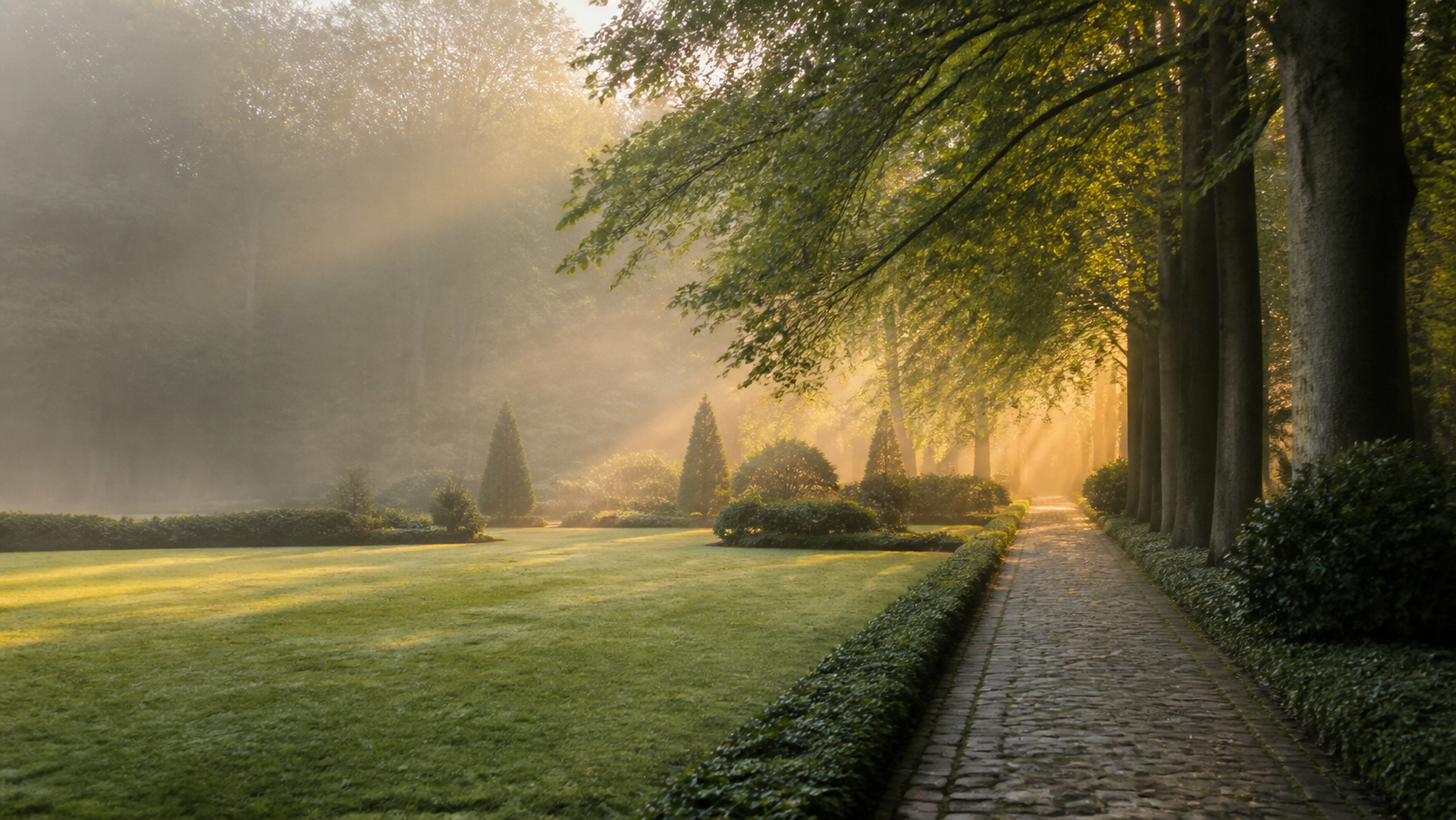 Stimmungsvoller, baumbestandener Weg in einer Parklandschaft